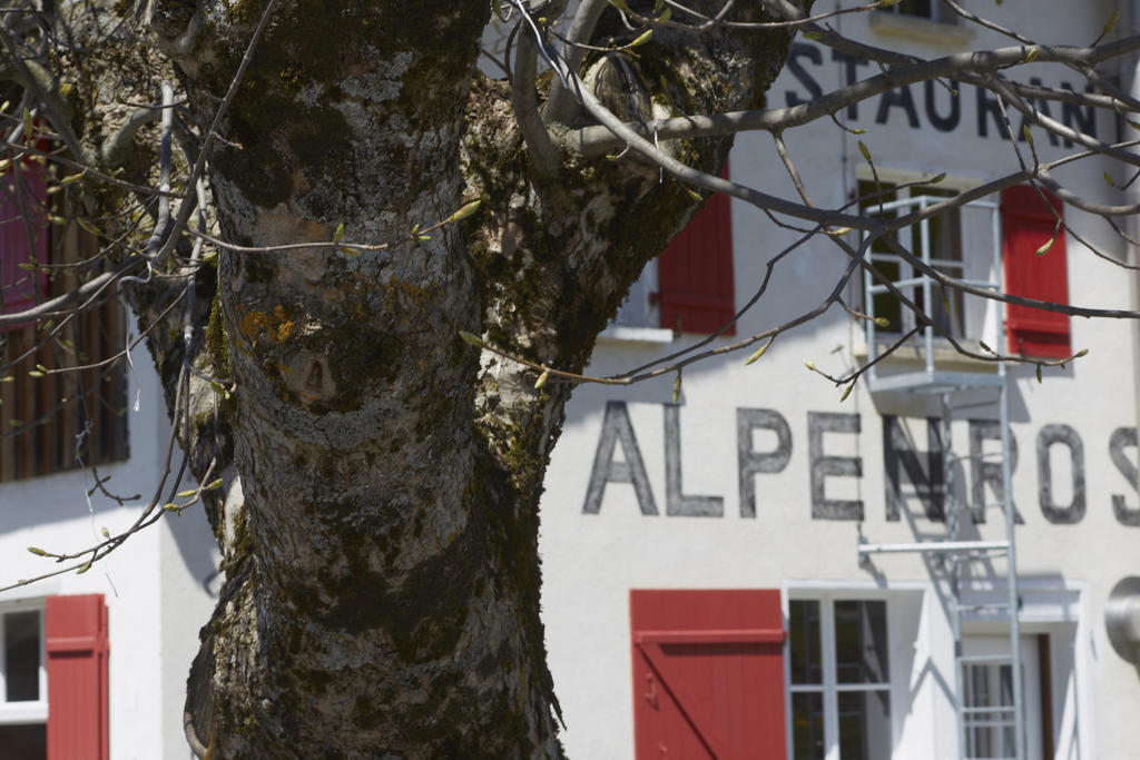 Alpenrose Gadmen - Gasthaus Exteriör bild